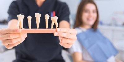 Dental_courses_kerala_karnataka_Tamilnadu at Career plus Educational Consultancy, Thodupuzha , Kerala